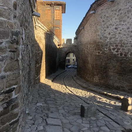 Oazis 53 Plovdiv