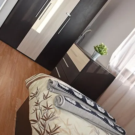 Oazis 53